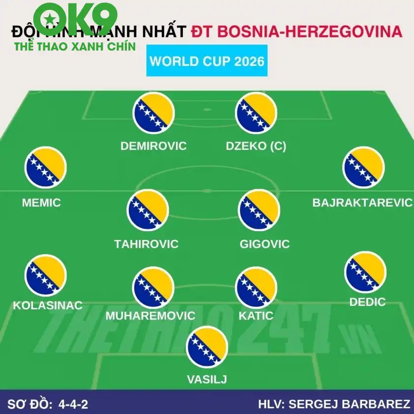 Đội hình dự kiến Bosnia-Herzegovina Đội hình dự kiến Bosnia-Herzegovina